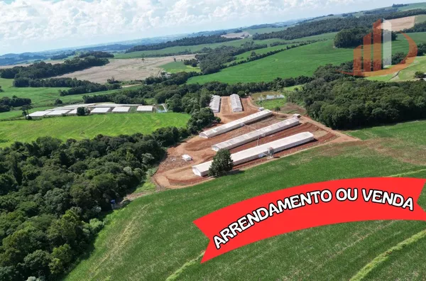 EMPREENDIMENTO AVÍCOLA DE POSTURA 