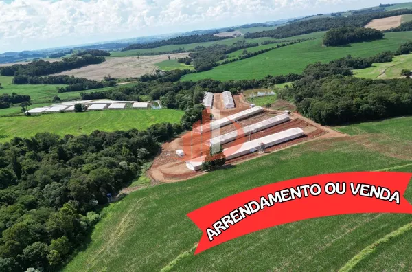 EMPREENDIMENTO AVÍCOLA DE POSTURA 