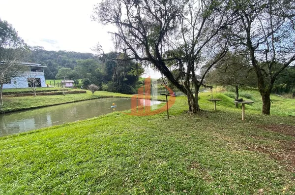CHÁCARA COM 13.000m² À VENDA EM PATO BRANCO/PR - Foto 25