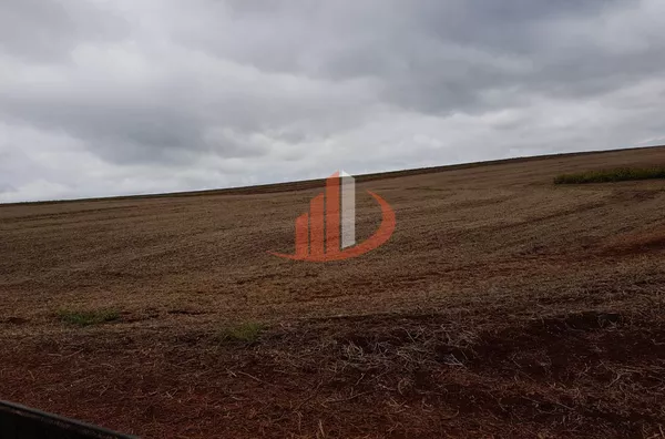 FAZENDA MODELO — OESTE DO PARANÁ - Foto 11