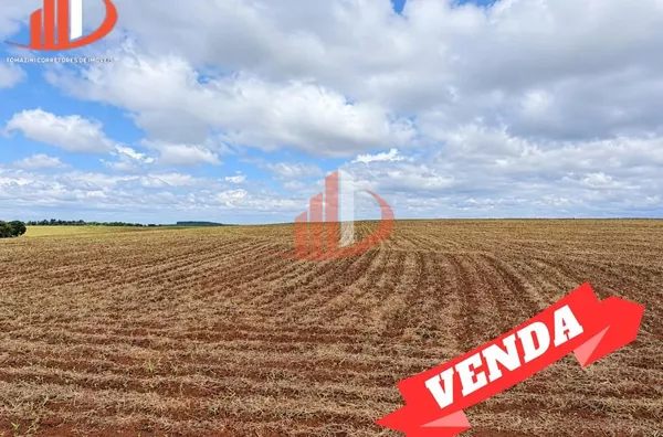 FAZENDA MODELO — OESTE DO PARANÁ - Foto 1