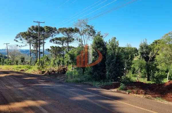 CHÁCARA COM 5 HECTARES PRÓXIMO A PATO BRANCO - Foto 10