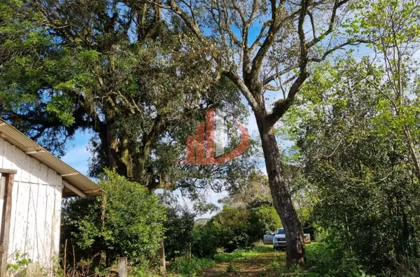 CHÁCARA COM 20 MIL m² Á VENDA EM PATO BRANCO/PR - Foto 16