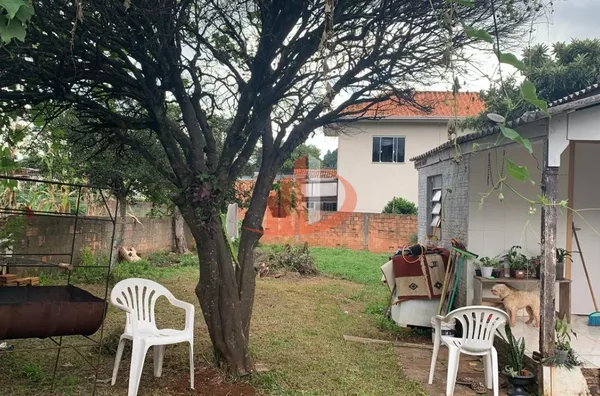 TERRENO À VENDA NO BAIRRO SANTA TEREZINHA EM PATO BRANCO/PR - Foto 8
