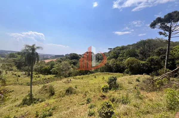 CHÁCARA COM 2,5 ALQUEIRES À VENDA EM VITORINO/PR - Foto 19