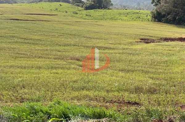 VENDE-SE FAZENDA A 13KM DA CIDADE DE GUARANIAÇU! - Foto 21