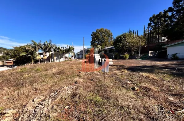 TERRENO À VENDA NO BAIRRO CADORIN EM PATO BRANCO/PR - Foto 4