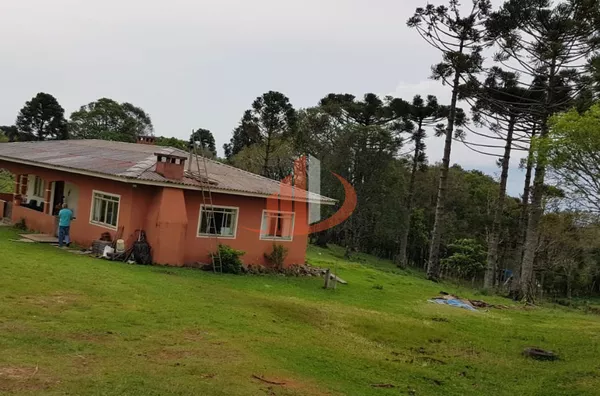 FAZENDA 200 ALQUEIRES REGIÃO SUDOESTE DO PARANÁ - Foto 33