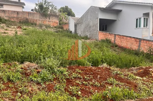 TERRENO COM 348m² À VENDA NO BAIRRO FRARON EM PATO BRANCO/PR - Foto 6