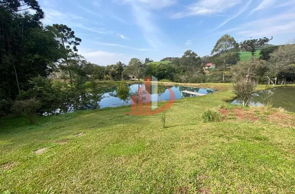 CHÁCARA COM 13.000m² À VENDA EM PATO BRANCO/PR - Foto 7