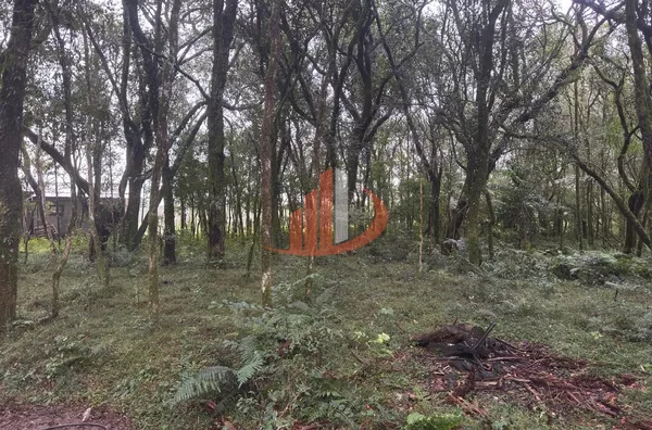 CHÁCARA COM 3000m² EM MARIÓPOLIS/PR - Foto 5