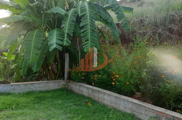 Chácara para venda, 2 quarto(s), Centro, Pato Branco - Foto 8