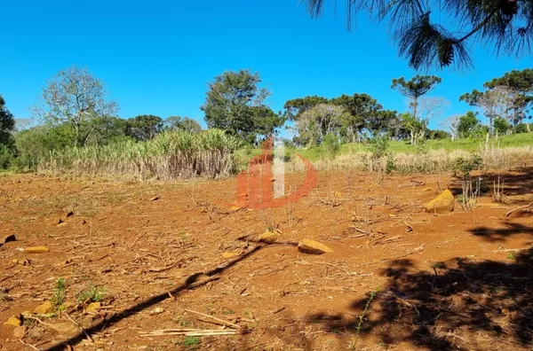 CHÁCARA COM 5 HECTARES PRÓXIMO A PATO BRANCO - Foto 17