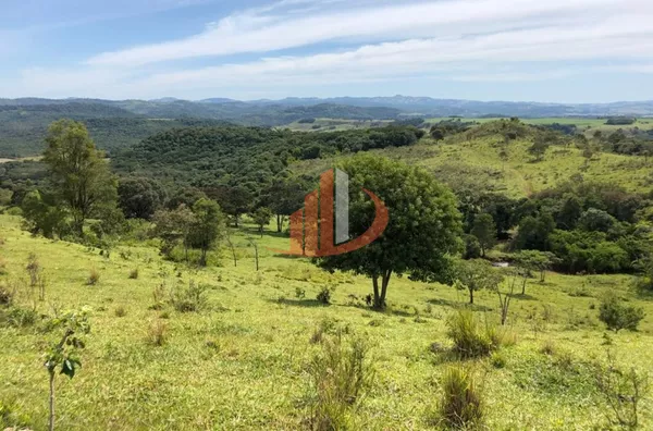 FAZENDA 211,19 ALQUEIRES EM LARANJEIRAS DO SUL/PR - Foto 2