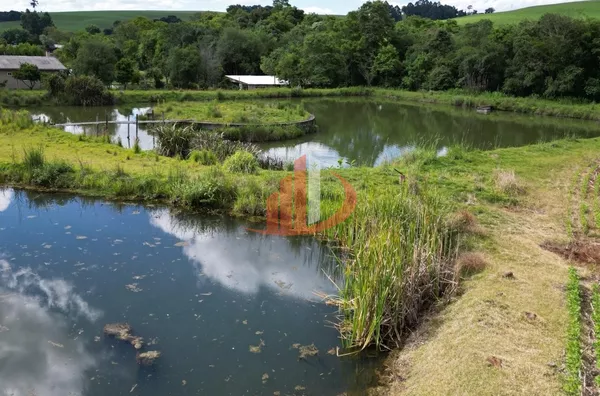 CHÁCARA DE 28 MIL m² À VENDA EM PATO BRANCO/PR - Foto 6
