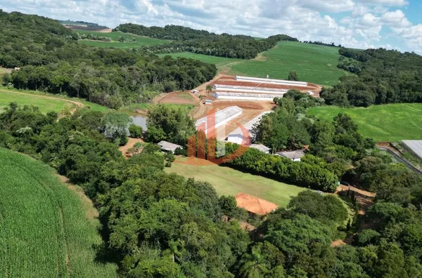 EMPREENDIMENTO AVÍCOLA DE POSTURA - Foto 6