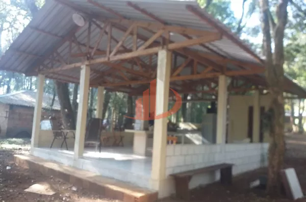 CHÁCARA COM 2000m² À VENDA EM PATO BRANCO/PR - Foto 9