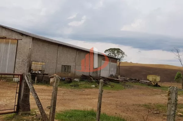 FAZENDA 200 ALQUEIRES REGIÃO SUDOESTE DO PARANÁ - Foto 40