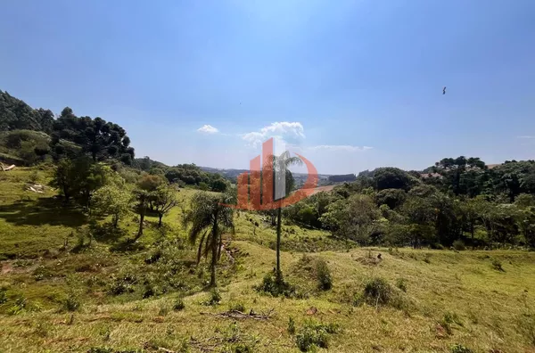 CHÁCARA COM 2,5 ALQUEIRES À VENDA EM VITORINO/PR - Foto 18
