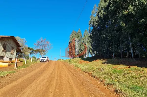 CHÁCARA COM 5 HECTARES PRÓXIMO A PATO BRANCO - Foto 16