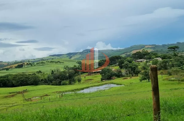 FAZENDA COM DUPLA APTIDÃO, 210 ALQUEIRES, REGIÃO CENTRO SUL DO PARANÁ - Foto 7