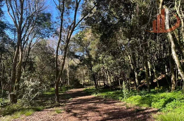 CHÁCARAS À VENDA PRÓXIMAS A PATO BRANCO/PR