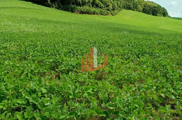 FAZENDINHA A VENDA PRÓXIMA A PATO BRANCO/PR - Foto 14