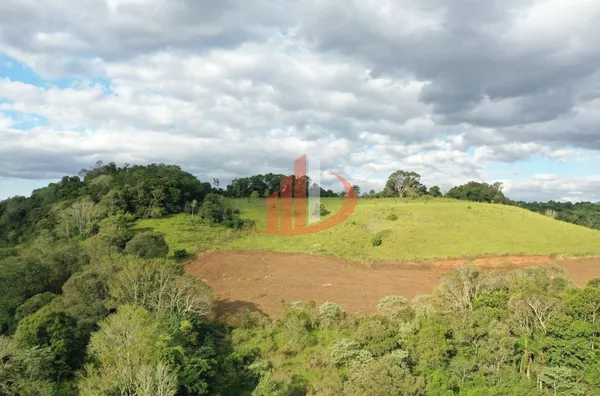 FAZENDA PRÓXIMA A PATO BRANCO PARA VENDA - Foto 18
