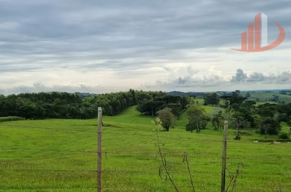 FAZENDA COM DUPLA APTIDÃO, 210 ALQUEIRES, REGIÃO CENTRO SUL DO PARANÁ