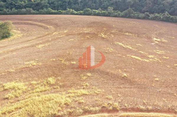 FAZENDA PRÓXIMA A PATO BRANCO PARA VENDA - Foto 34
