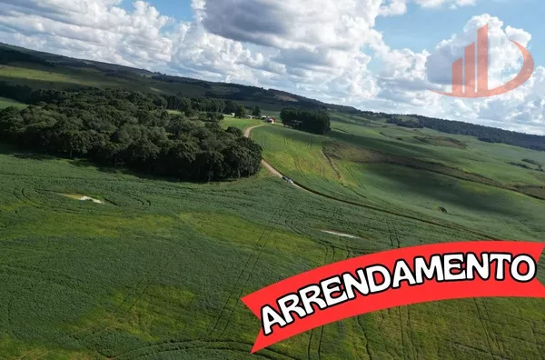 ARRENDAMENTO AGRÍCOLA DE ATÉ 200 ALQUEIRES NO SUDOESTE DO PARANÁ!