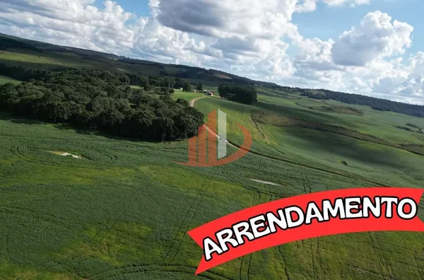 ARRENDAMENTO AGRÍCOLA DE ATÉ 200 ALQUEIRES NO SUDOESTE DO PARANÁ!
