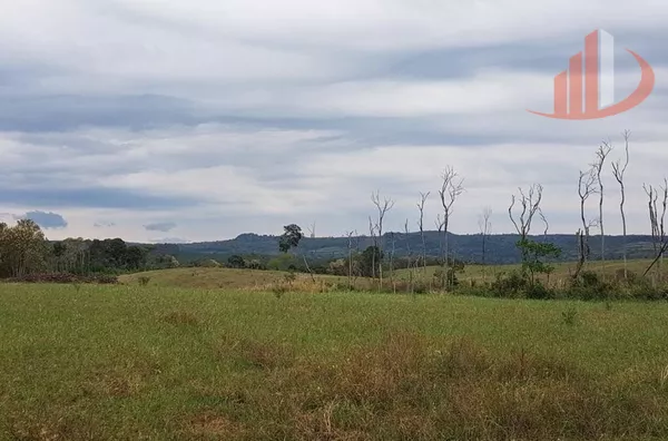 FAZENDA COM 203,5 ALQUEIRES À VENDA NO SUDOESTE DO PARANÁ.