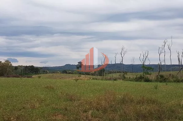 FAZENDA COM 203,5 ALQUEIRES À VENDA NO SUDOESTE DO PARANÁ.