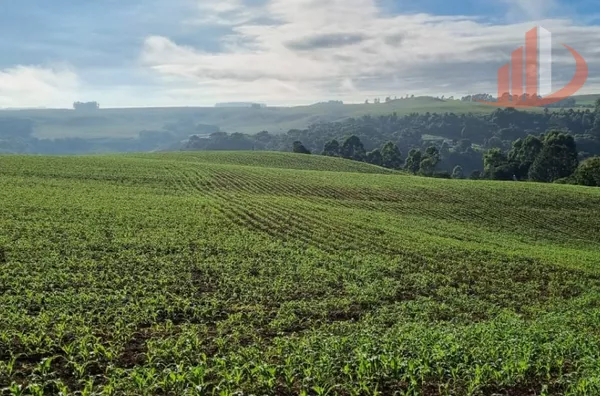 FAZENDA PRA VENDA NO SUDOESTE DO PARANÁ