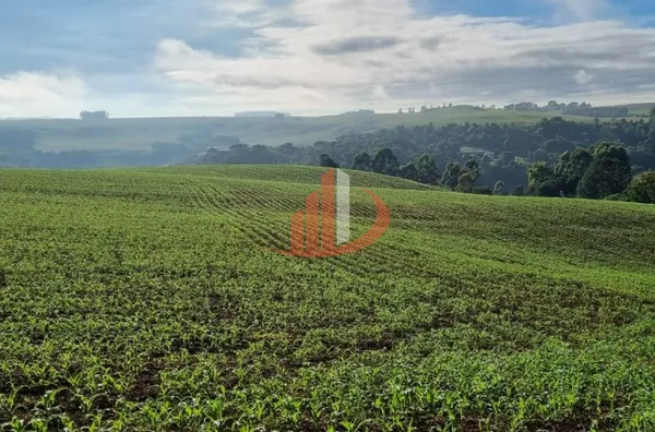 FAZENDA PRA VENDA NO SUDOESTE DO PARANÁ