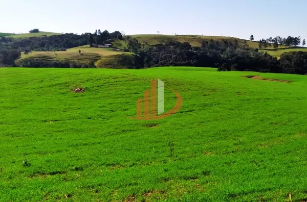VENDE-SE UMA BELÍSSIMA ÁREA DE TERRA EM NOVA LARANJEIRAS! - Foto 13