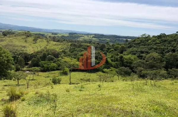 FAZENDA 211,19 ALQUEIRES EM LARANJEIRAS DO SUL/PR - Foto 6