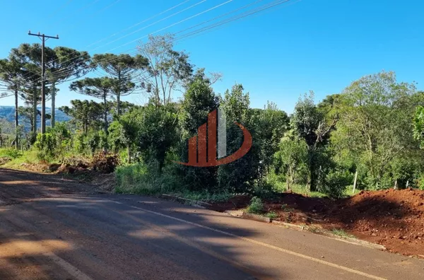 CHÁCARA COM 5 HECTARES PRÓXIMO A PATO BRANCO - Foto 9