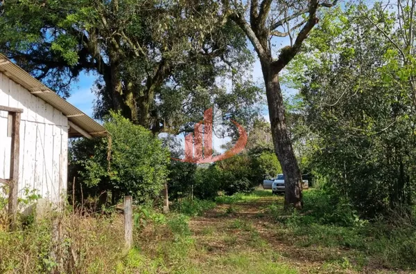 CHÁCARA COM 20 MIL m² Á VENDA EM PATO BRANCO/PR - Foto 13