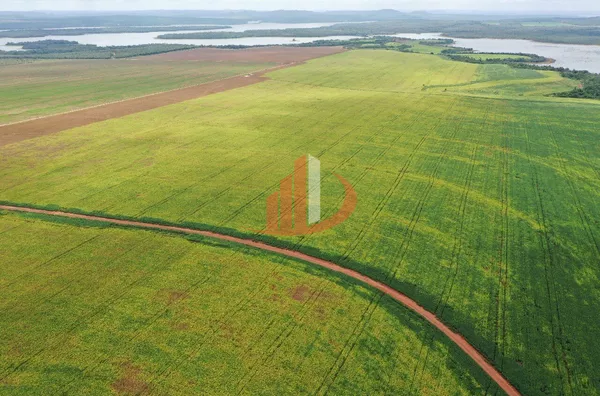 FAZENDA NO ESTADO DO TOCANTINS - Foto 29