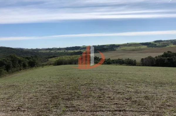 FAZENDA 211,19 ALQUEIRES EM LARANJEIRAS DO SUL/PR - Foto 3