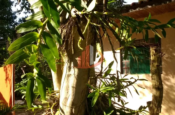 TERRENO COM 810m² EM ÁGUA DE SÃO FRANCISCO - Foto 2