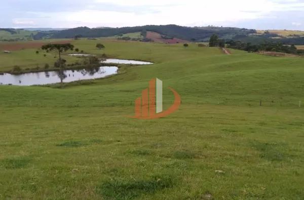 FAZENDA COM DUPLA APTIDÃO, 210 ALQUEIRES, REGIÃO CENTRO SUL DO PARANÁ - Foto 16