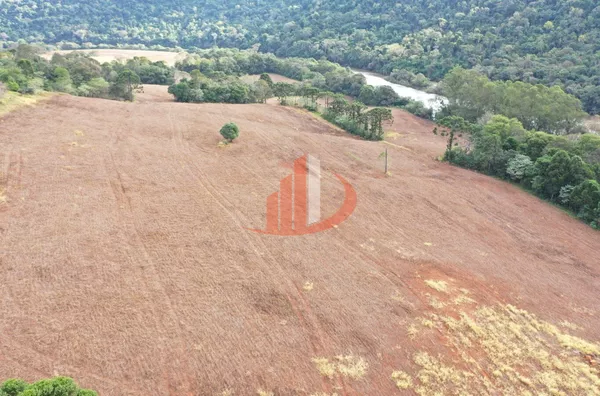 FAZENDA PRÓXIMA A PATO BRANCO PARA VENDA - Foto 13