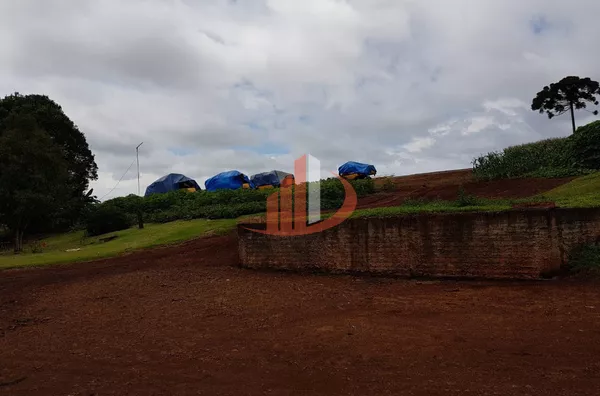 FAZENDA MODELO — OESTE DO PARANÁ - Foto 9