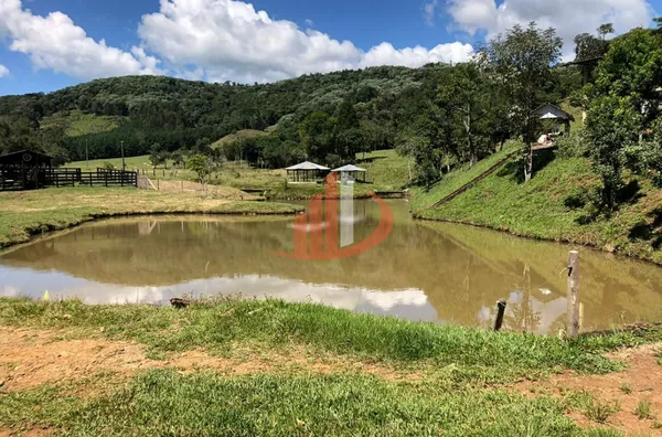 FAZENDA COM 33 ALQUEIRES NO INTERIOR DO PARANÁ - Foto 16
