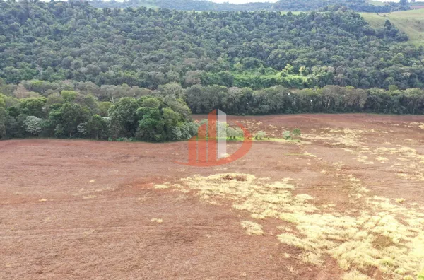 FAZENDA PRÓXIMA A PATO BRANCO PARA VENDA - Foto 10