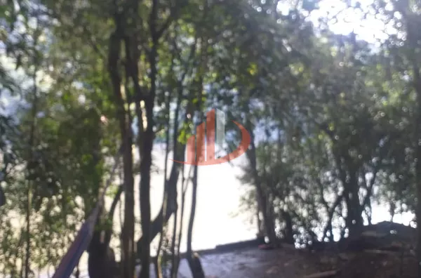 CHÁCARA COM 2000m² À VENDA EM PATO BRANCO/PR - Foto 14