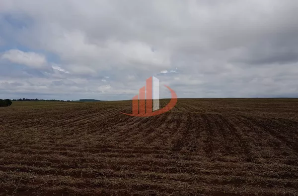 FAZENDA MODELO — OESTE DO PARANÁ - Foto 10